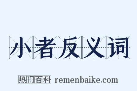 小者反义词是什么意思的图片